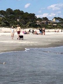 People on the beach at Hilton Head. Not crowded, but definitely busier than I anticipated
